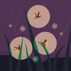 Meet your Posher, Katelyn